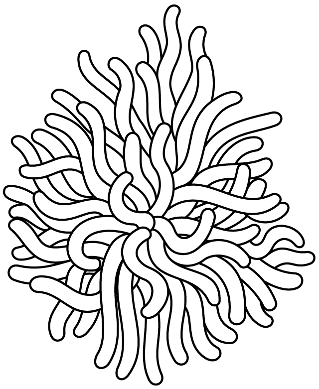 Coloriage à imprimer ; une anémone de mer