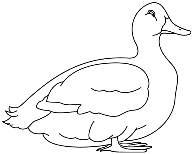 Coloriage à imprimer ; un canard