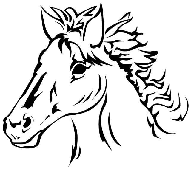 Coloriage à imprimer ; une tête de cheval