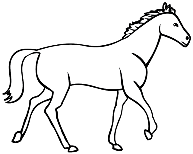 Coloriage, un cheval, dessin 6