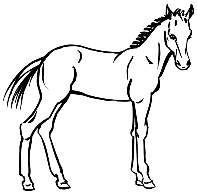 Coloriage cheval, dessin 7