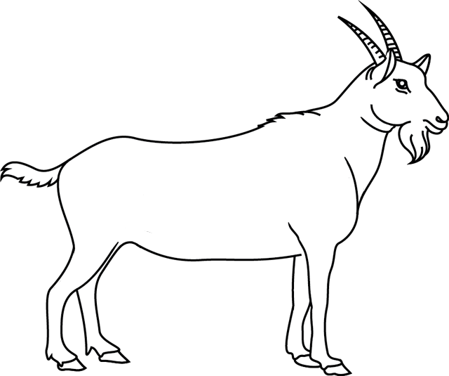 Coloriage à imprimer : une chèvre