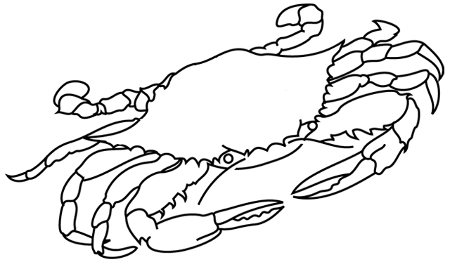 Coloriage à imprimer, un crabe