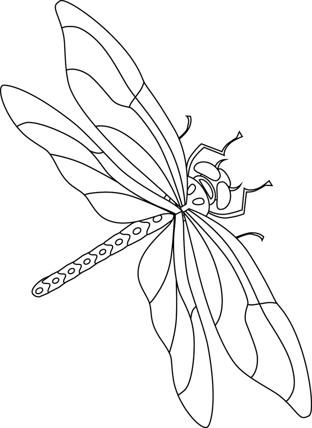 Coloriage à imprimer : une libellule