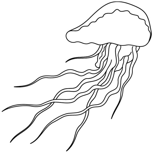 Coloriage à imprimer ; une méduse