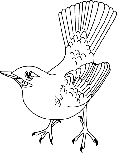 Coloriage à imprimer ; un oiseau