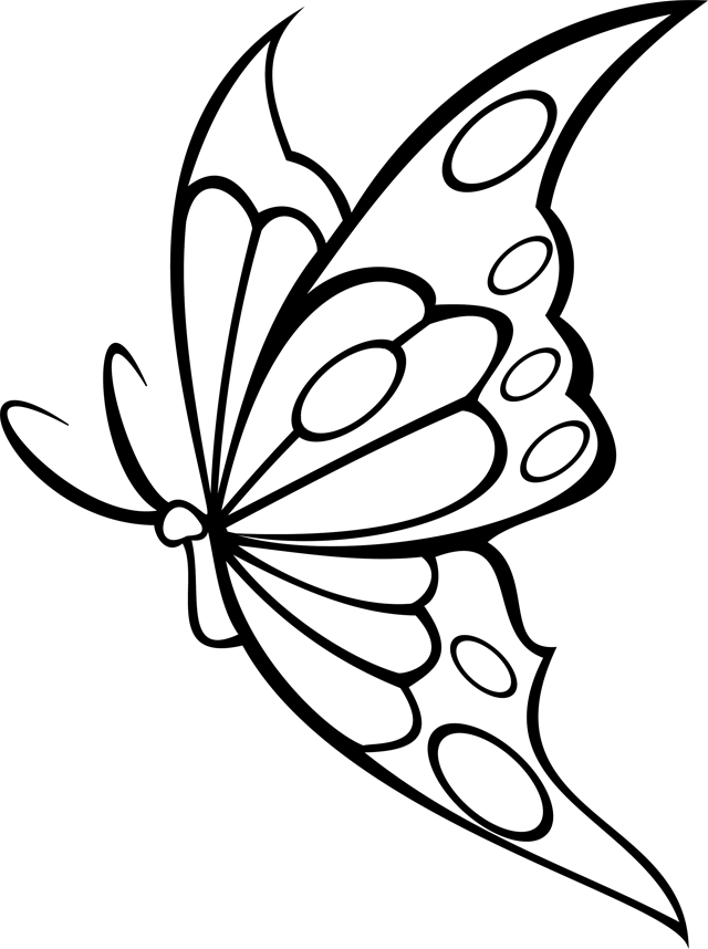 Coloriage à imprimer ; un papillon