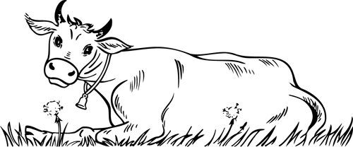 coloriage ; une vache allongée