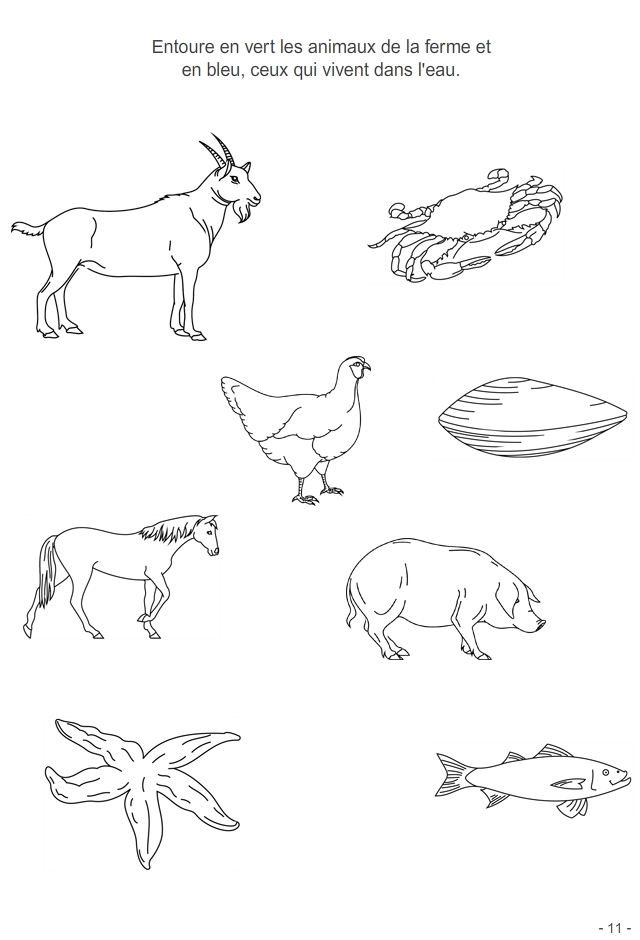 Jeux à imprimer pour enfants : les animaux de la ferme, les animaux qui vivent dans l'eau