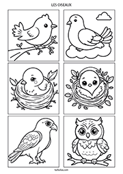 Coloriages, les oiseaux