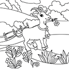 Coloriage à imprimer : une chèvre dans le pré