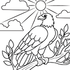 Coloriage à imprimer : un faucon