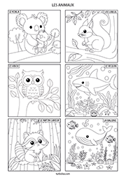 Page de 6 coloriages d'animaux : le koala, l'écureuil, le hibou, le requin, le raton laveur et la baleine