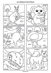 Page de 6 coloriages d'animaux d'Australie