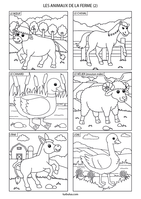 Dessin à imprimer et à colorier ; les animaux de la ferme :  le bœuf, le cheval, le canard, le bélier, l'âne et l'oie
