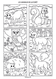 Page de 6 coloriages d'animaux de la forêt