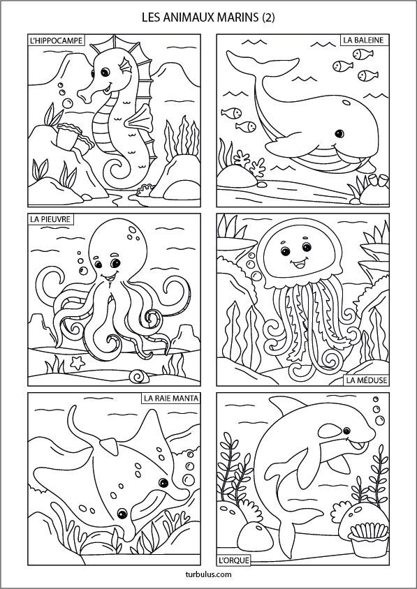 Coloriages à imprimer ; les animaux marins : l'hippocampe, la baleine, la pieuvre, la méduse, la raie manta et l'orque
