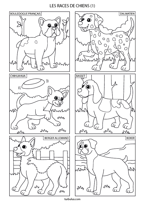 Dessin à imprimer et à colorier ; 6 races de chiens
