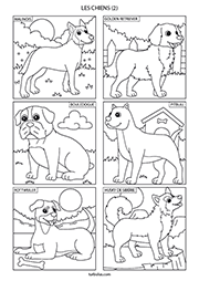 Page de 6 chiens de race à colorier
