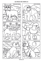 Page de 6 chiens de race à colorier