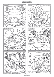 Page de 6 coloriages d'insectes