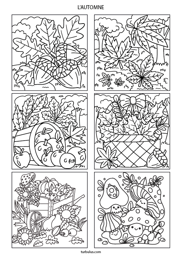 Dessins à imprimer et à colorier ; des glands, des feuilles d'automne, des fruits et des champignons