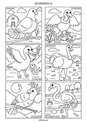 Page de 6 coloriages d'oiseaux