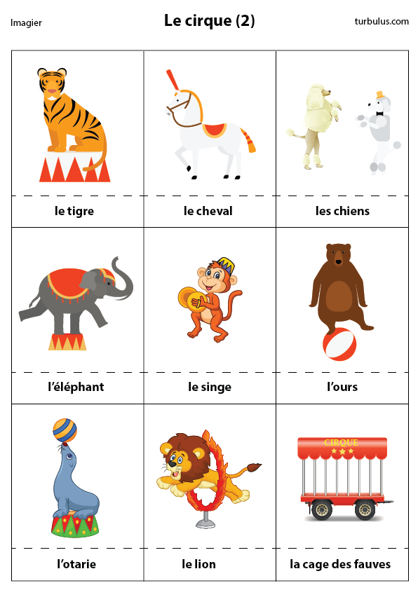 Imagier le cirque :  tigre, cheval, chien, éléphant, singe, ours, otarie, lion et la cage des fauves.