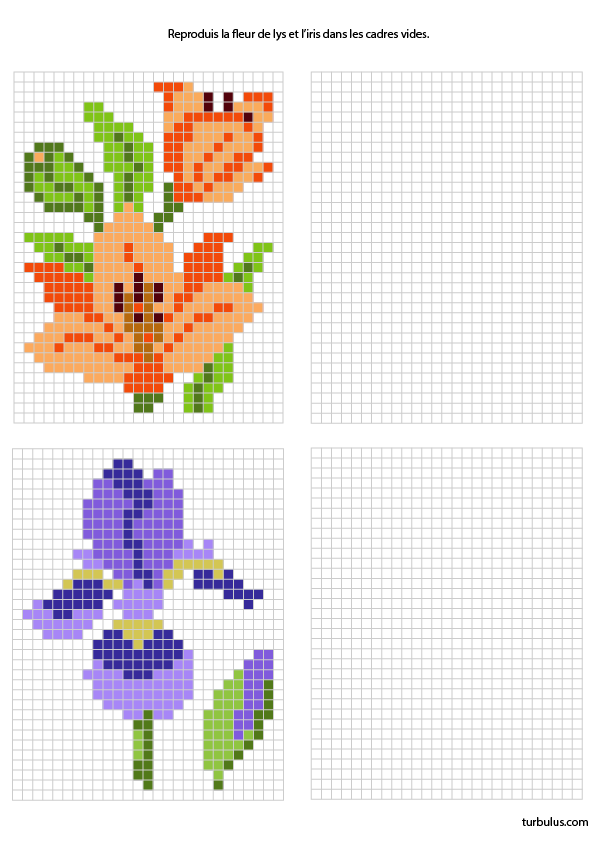 Exercice à imprimer, pixel art, une fleur de lys et un iris