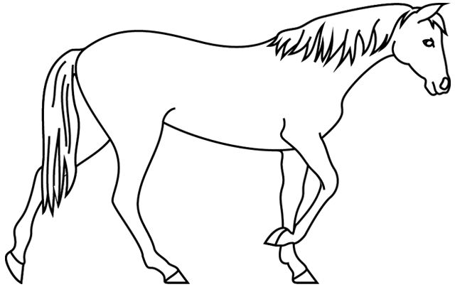 dessin a imprimer de cheval