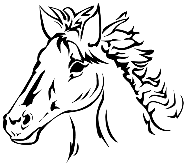 Coloriage A Imprimer La Tete D Un Cheval Turbulus Jeux Pour Enfants