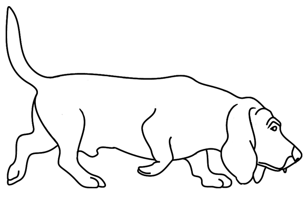 Coloriage à imprimer : un chien, le basset