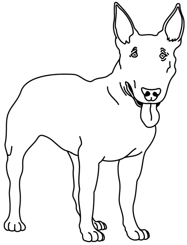 Coloriage à imprimer ; un chien, le bull terrier
