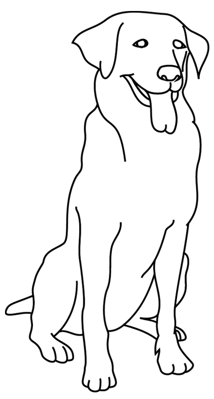 Coloriage à imprimer : un chien, le golden retriever - Turbulus, jeux pour enfants