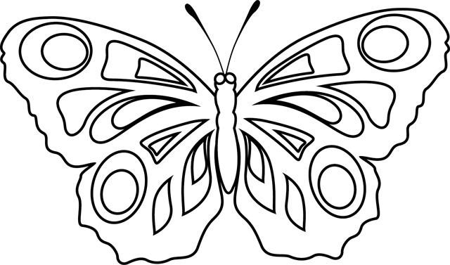 Coloriage à imprimer : un papillon