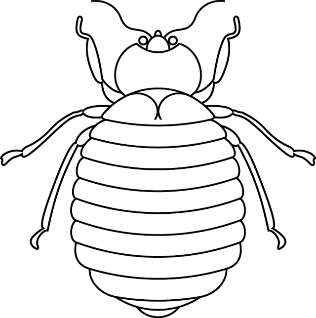 Coloriage à imprimer ; un scarabée