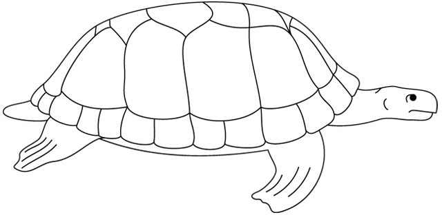 Coloriage à imprimer ; une tortue marine