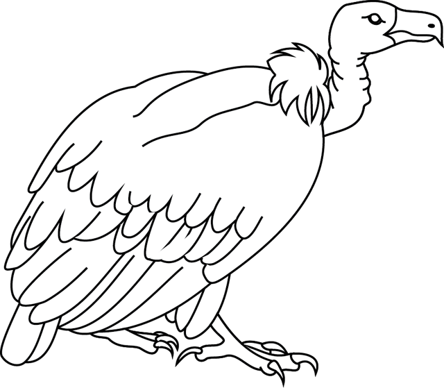 Coloriage à imprimer ; un vautour