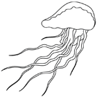 Coloriage à imprimer : une méduse