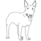 Coloriage à imprimer : un chien, le bull terrier