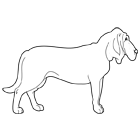 Coloriage à imprimer : le chien de Saint Hubert