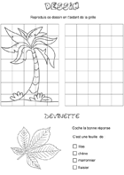 Fiche de jeux ; dessin à reproduire, un palmier